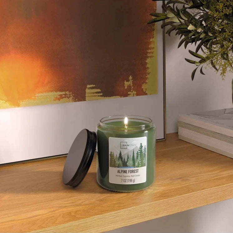 2 Pack Alpine Forest Scented Candle Glass Jar 7oz Single Wick Aromatherapy Candle Woodsy Relaxing Home Decor 100 Hours Burn Time